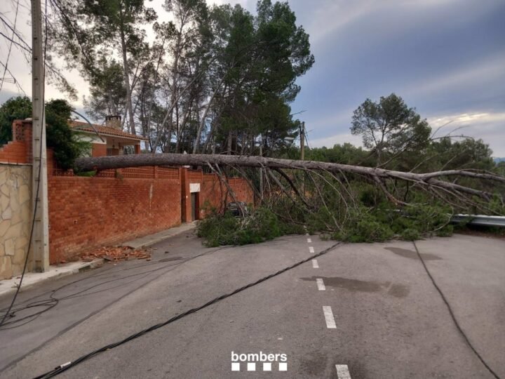 El 112 atiende llamadas del 789 por viento en Cataluña hasta las 12 horas