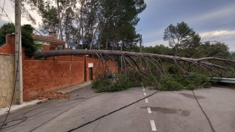 El 112 atiende llamadas del 789 por viento en Cataluña hasta las 12 horas