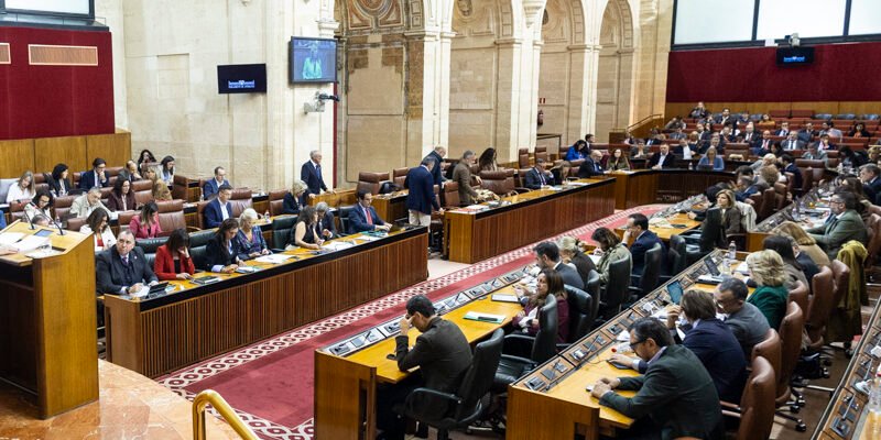 Ausencia en el Pleno por DANA en Andalucía.