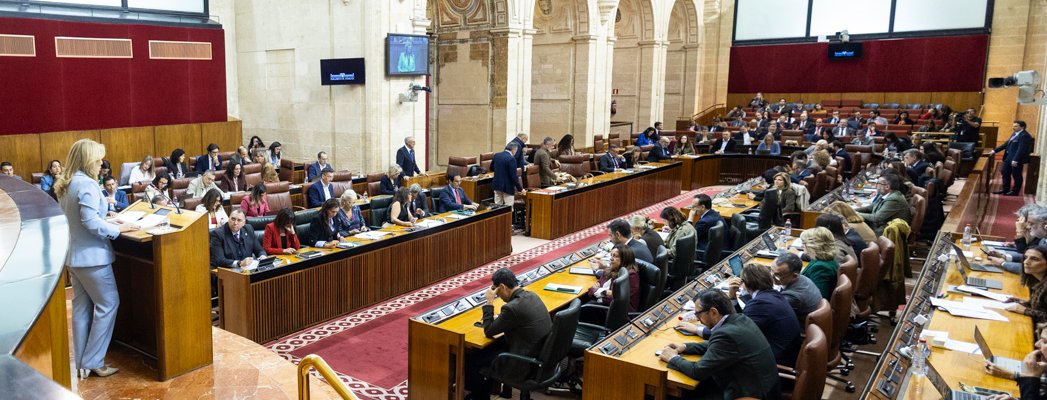 Ausencia en el Pleno por DANA en Andalucía.