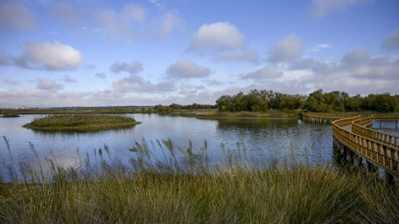 Ayudas para municipios cercanos a Cabañeros y Las Tablas de Daimiel