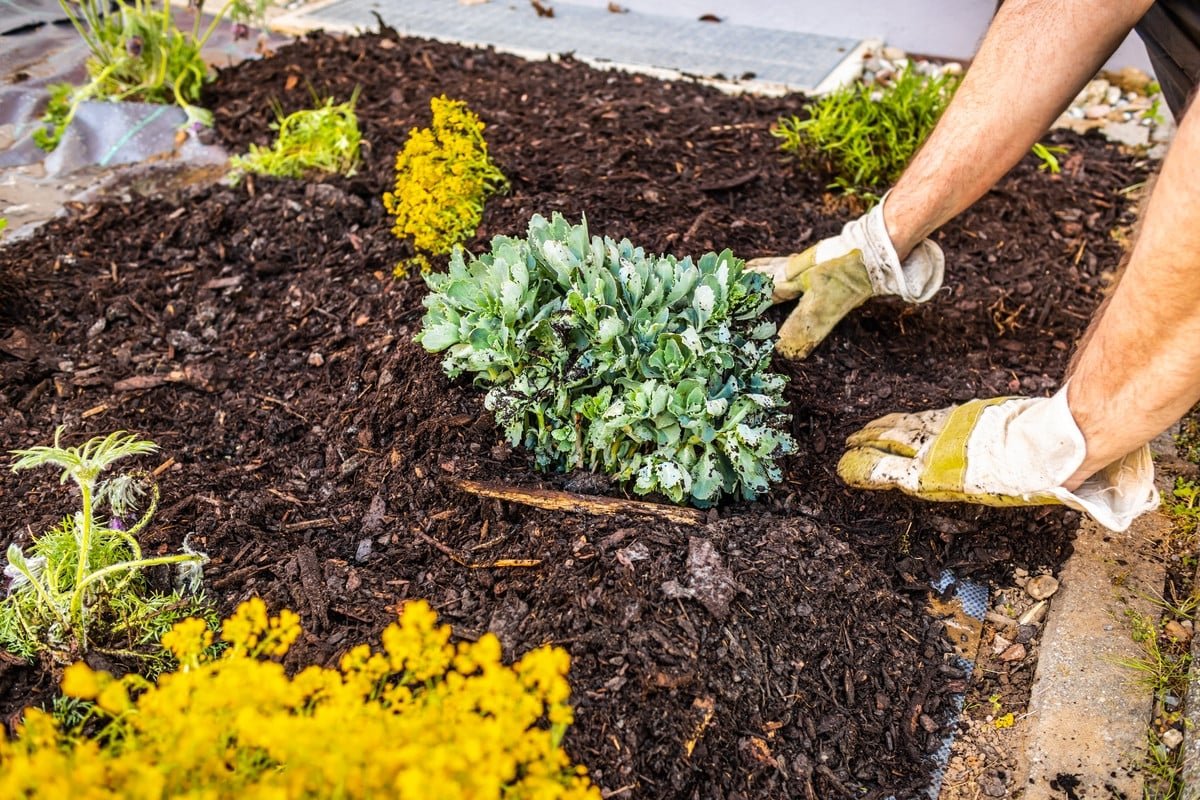 Consejo de jardinería para prepararse antes del invierno