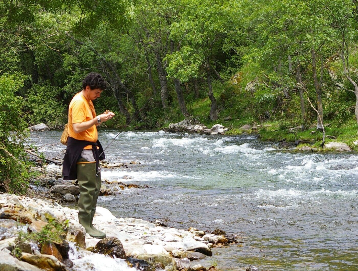 Ecosistemas fluviales y truchas autóctonas de Brieva en La Rioja.