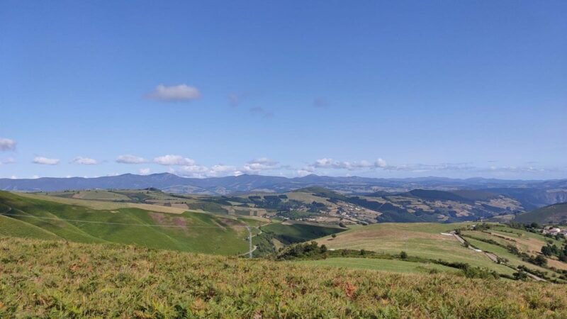 El Ayuntamiento destina 2,2 millones al plan de mejora de masas forestales.