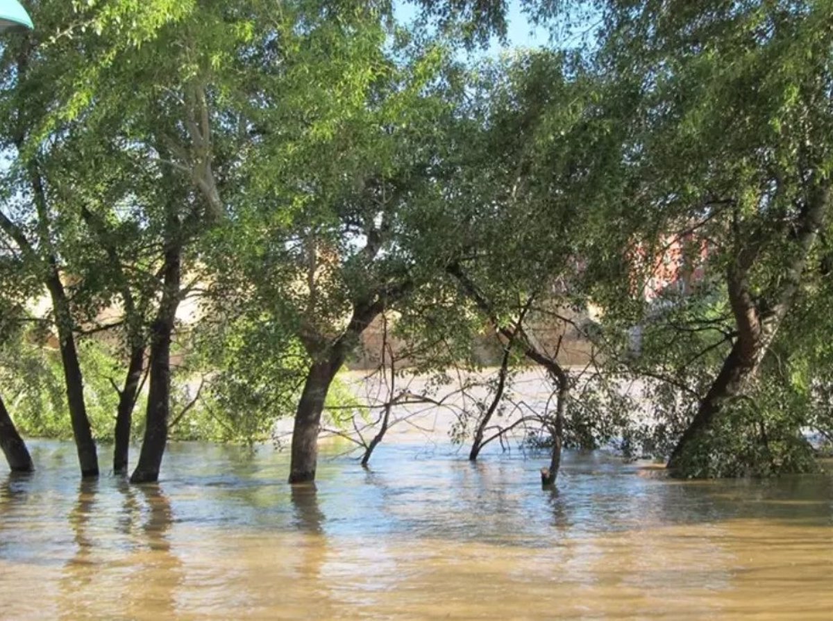 El CHE alerta de posibles inundaciones repentinas en barrancos ante fuertes lluvias.