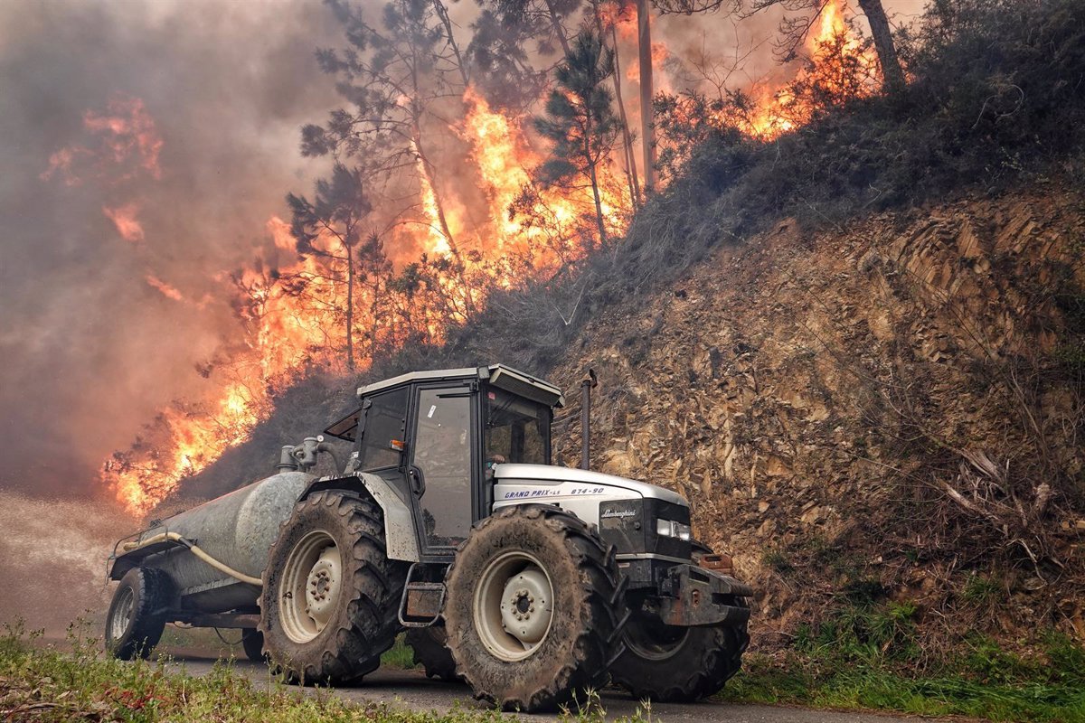 El aumento de los incendios forestales en Asturias.