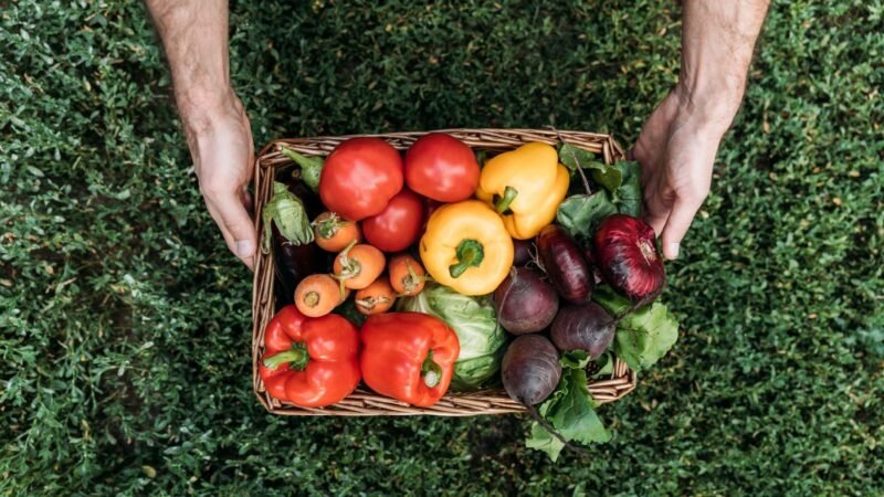 La agricultura ecológica se expande en Murcia.