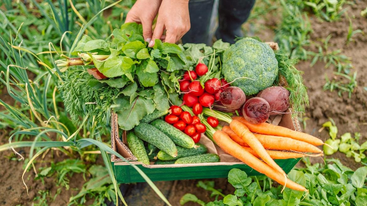 Oferta de alimentos ecológicos en BioCultura 2024 con actividades, catas y talleres