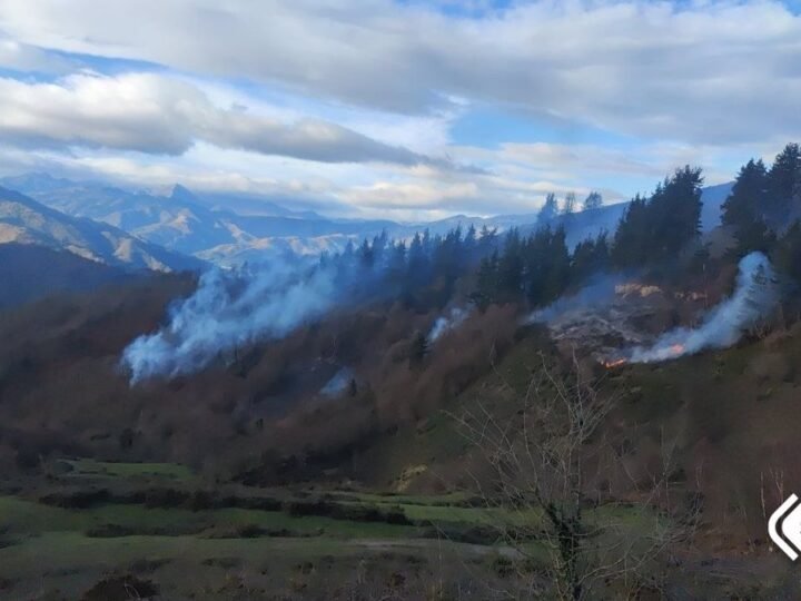 Plan de Incendios Forestales activado en situación 0, Infopa. -> Plan de Incendios Forestales activado en situación 0, Infopa.