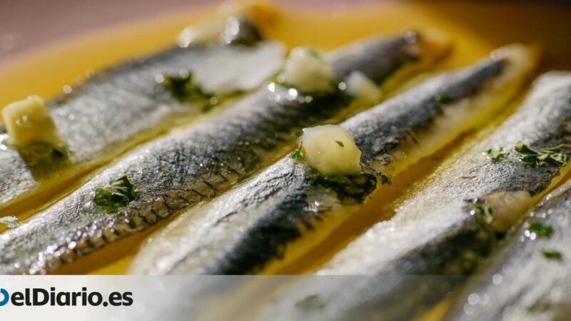 Preparación de anchoas en vinagre