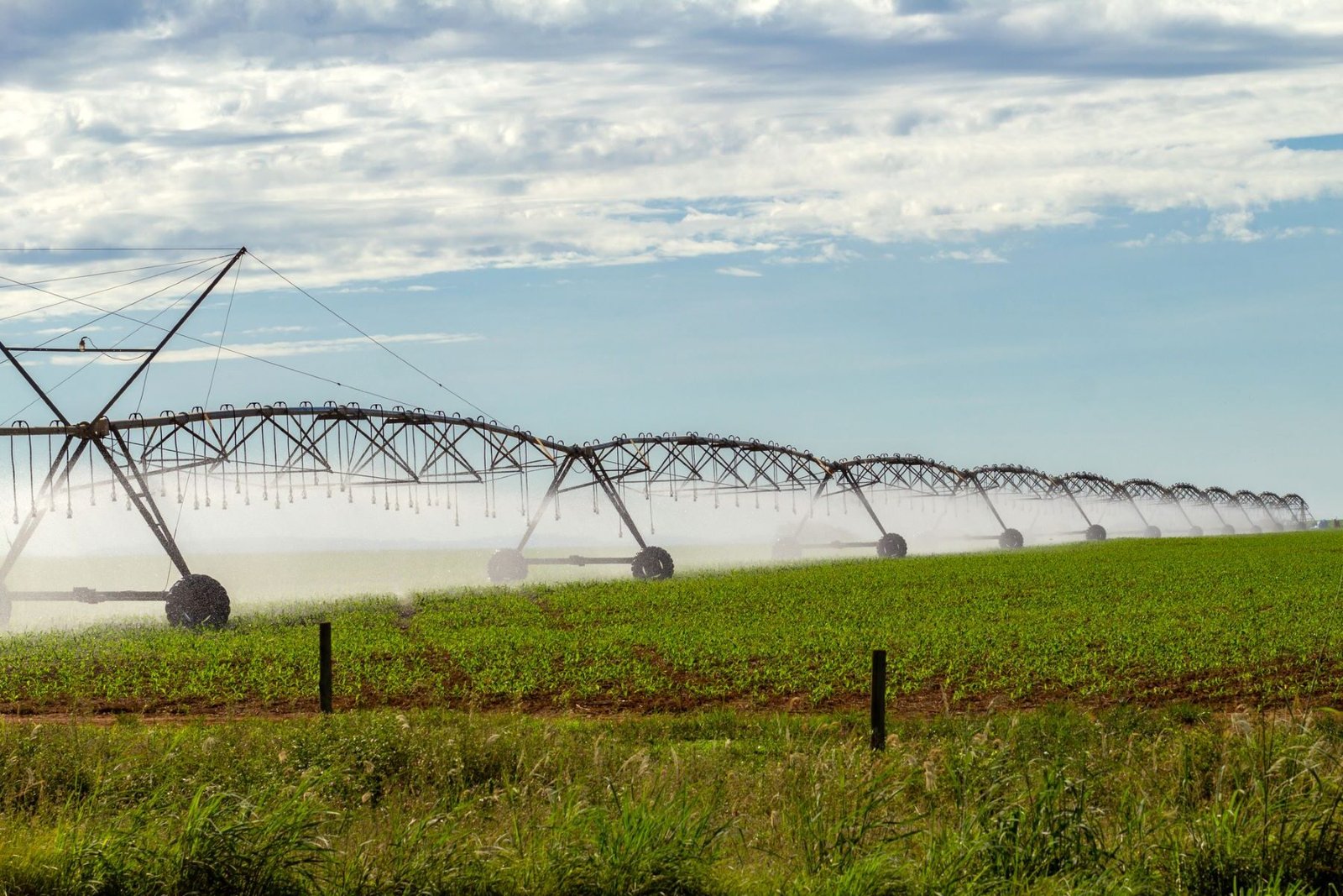 Promoción del uso de aguas regeneradas en los campos de Andalucía.