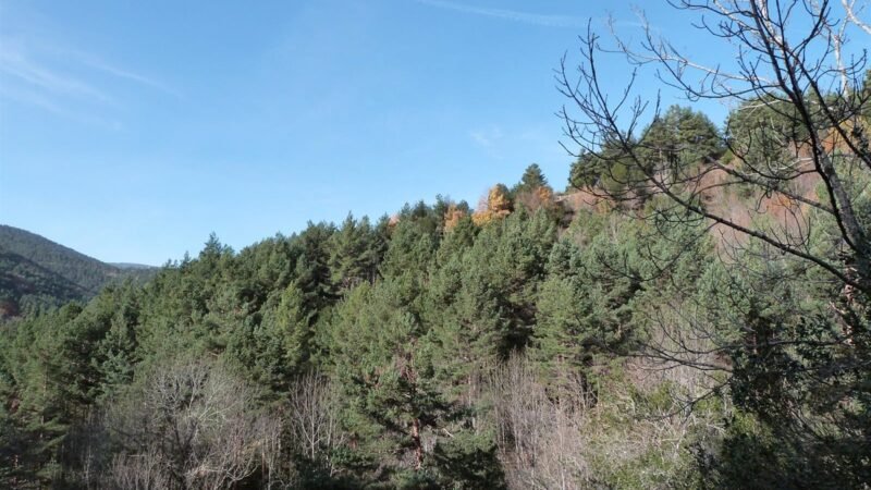 Solicitan mayor transparencia en información ambiental al Gobierno de La Rioja.