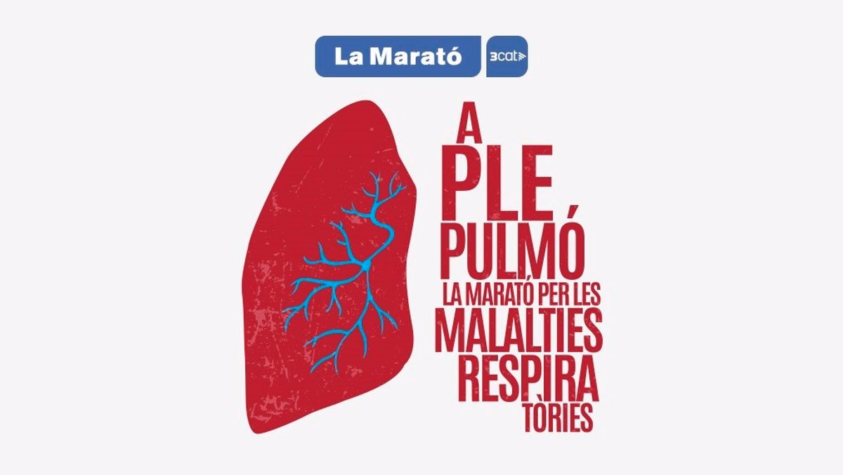 La Marató 2024 de 3Cat recauda 122.654 € hasta las 11:00 horas para enfermedades respiratorias.