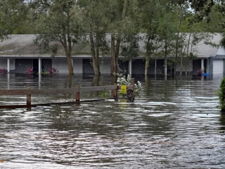 Pérdidas agrícolas por 190 millones de dólares en Florida debido al huracán Milton