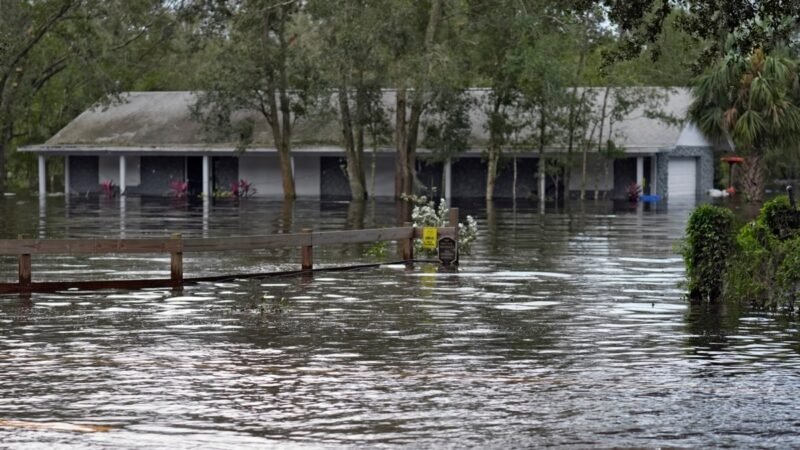 Pérdidas agrícolas por 190 millones de dólares en Florida debido al huracán Milton