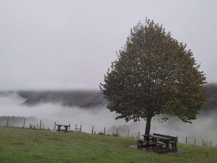 La niebla regresará este domingo en La Ribera del Ebro, según AEMET