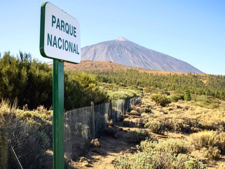 Acceso peatonal a senderos del Parque Nacional del Teide cerrado a partir del sábado