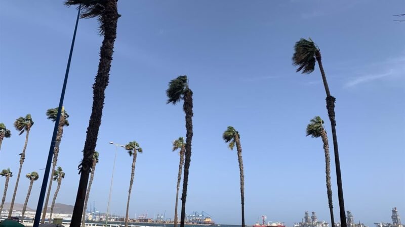 Alerta por viento en Tenerife, La Gomera y El Hierro para el sábado