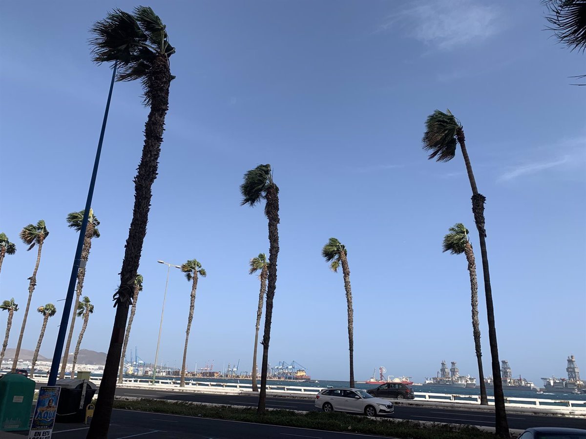 Alerta por viento en Tenerife, La Gomera y El Hierro para el sábado