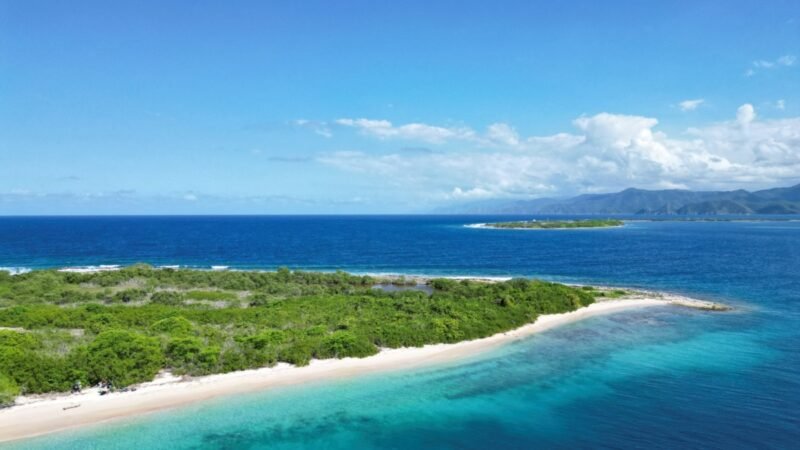 Ambientalistas venezolanos crean granjas de coral para conservación.