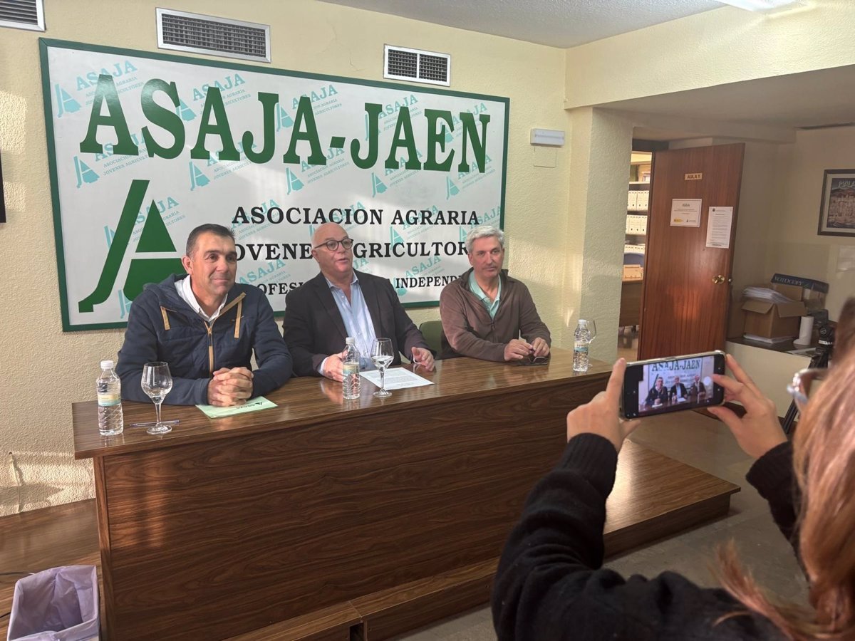 Asaja solicita tranquilidad en las ventas de aceite de oliva ante crisis de precios