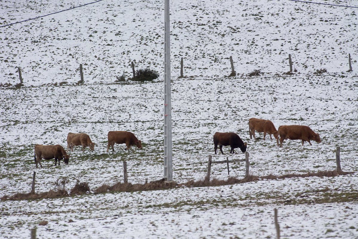 Calvos de Randín, Ourense, amanece con una mínima de -6,6 grados en Galicia.