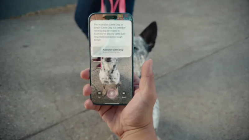 Cómo usar la versión de Apple de Google Lens, la inteligencia visual