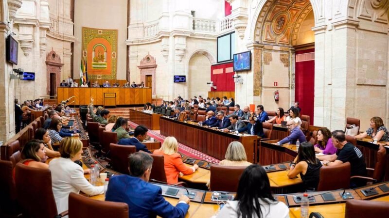 Debates finales sobre presupuesto y Ley de Participación en el Parlamento la próxima semana