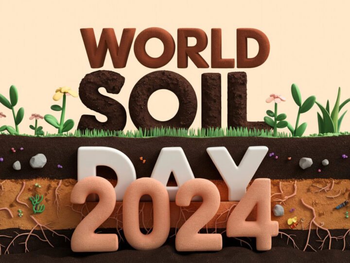 Día Mundial del Suelo 2024 – Celebrando la importancia de nuestros recursos naturales.