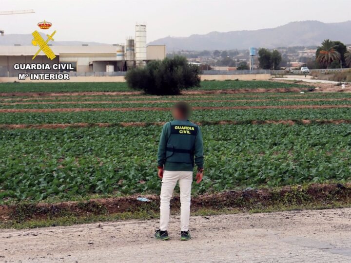 Empresario detenido por explotar a trabajadores agrícolas en El Guadalentín