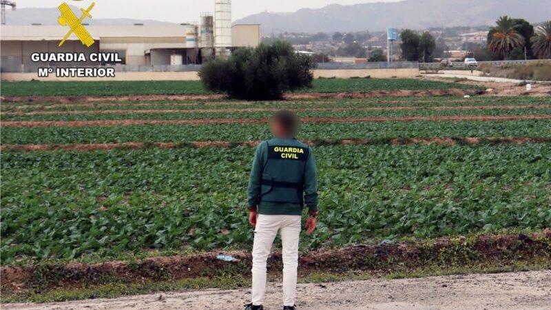 Empresario detenido por explotar a trabajadores agrícolas en El Guadalentín