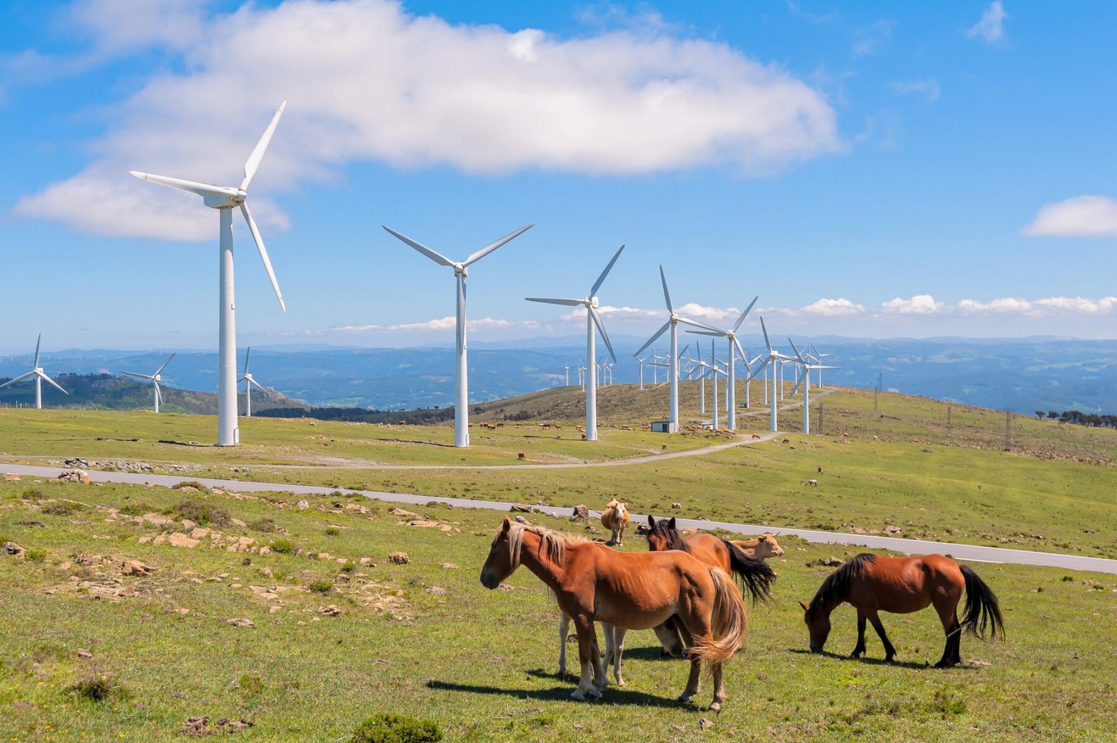 Energía eólica e hidráulica en Galicia en peligro