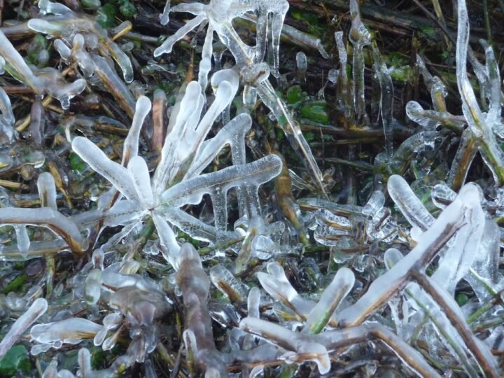 Euskadi activa aviso amarillo por temperaturas mínimas y heladas