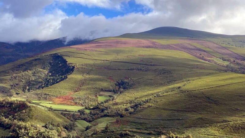 Fondos para prevenir incendios en sierra de parroquias rurales