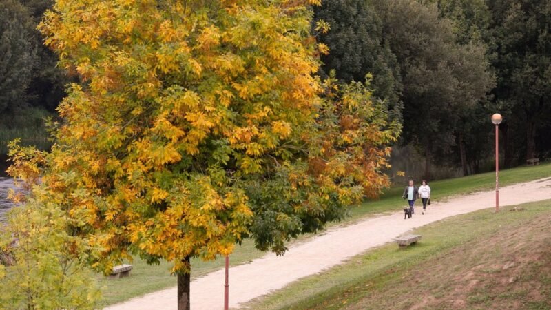 Galicia tendrá buen clima en Navidad tras un otoño cálido.