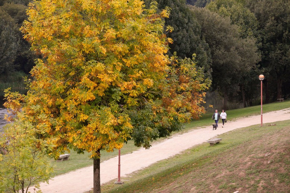 Galicia tendrá buen clima en Navidad tras un otoño cálido.