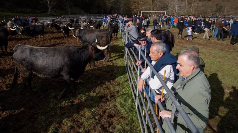 Gran feria en Rionansa con más de 600 animales de 15 granjas