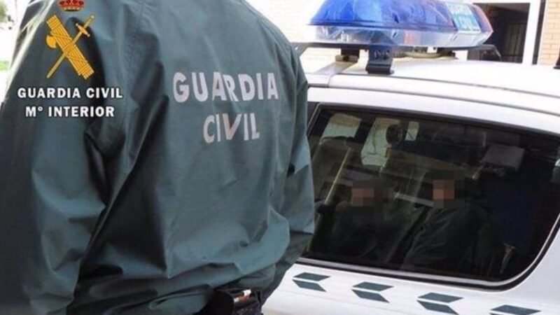 Investigan a hombre de Oia por incautación de 120 plantas de marihuana.