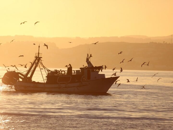 La Junta de Andalucía pide 3,3 millones para arrastreros del Mediterráneo