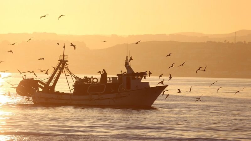 La Junta de Andalucía pide 3,3 millones para arrastreros del Mediterráneo