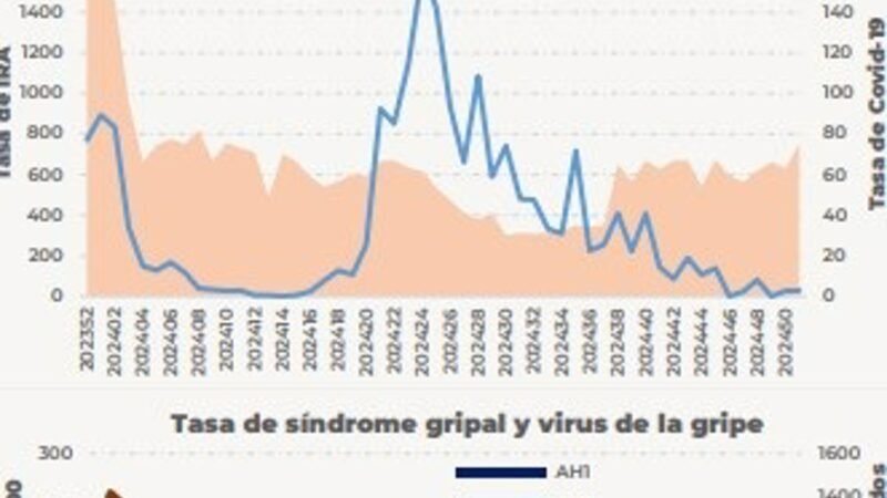 La gripe afecta principalmente a menores de 15 años en CyL