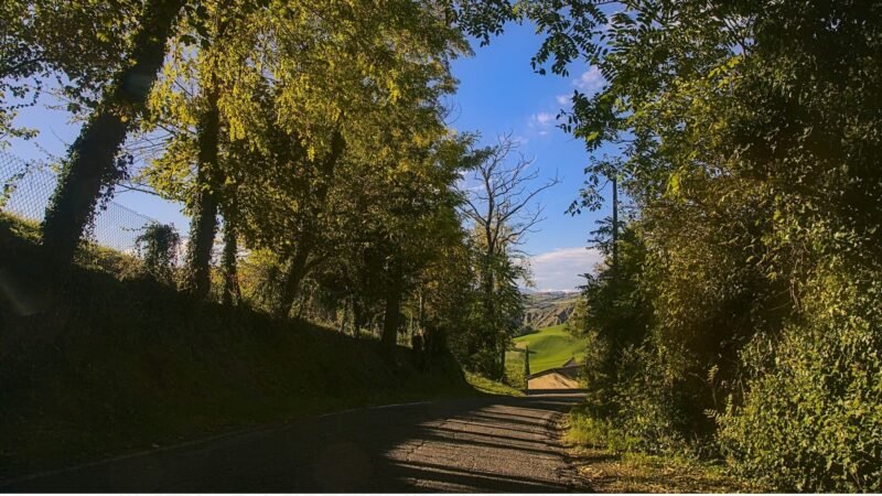 Más de 90 caminos rurales recuperados y adecuados