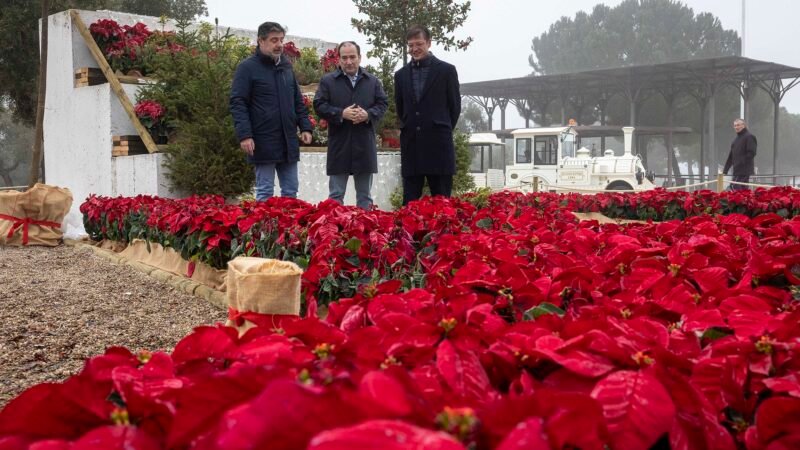 Navidad en el Parque Juan Carlos I: tren eléctrico y jardín efímero con 2.200 flores.