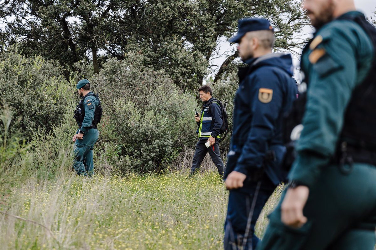 Operación conjunta de la Guardia Civil y la Policía Nacional desarticula banda de robos domiciliarios