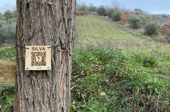 Origen de Bosco Intecs en Abruzos