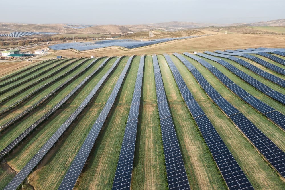 Parque solar en Alhendín: integración de energías renovables con la agricultura.