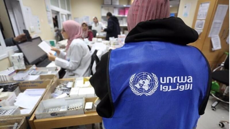 Premio René Cassin de Derechos Humanos 2024 para UNRWA