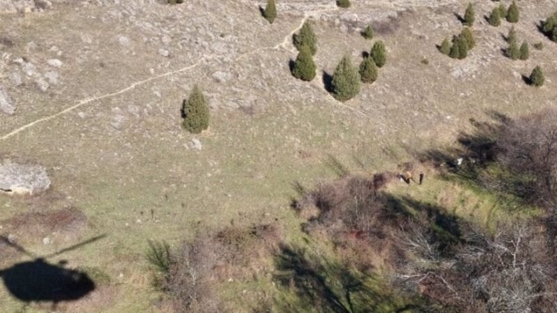 Rescatan a anciano herido en Torreiglesias