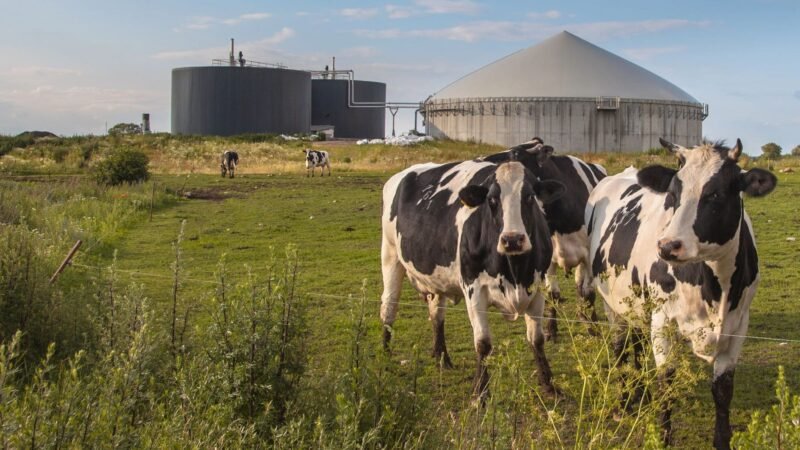 Startup asturiana «Agrolinera» recibe premio.