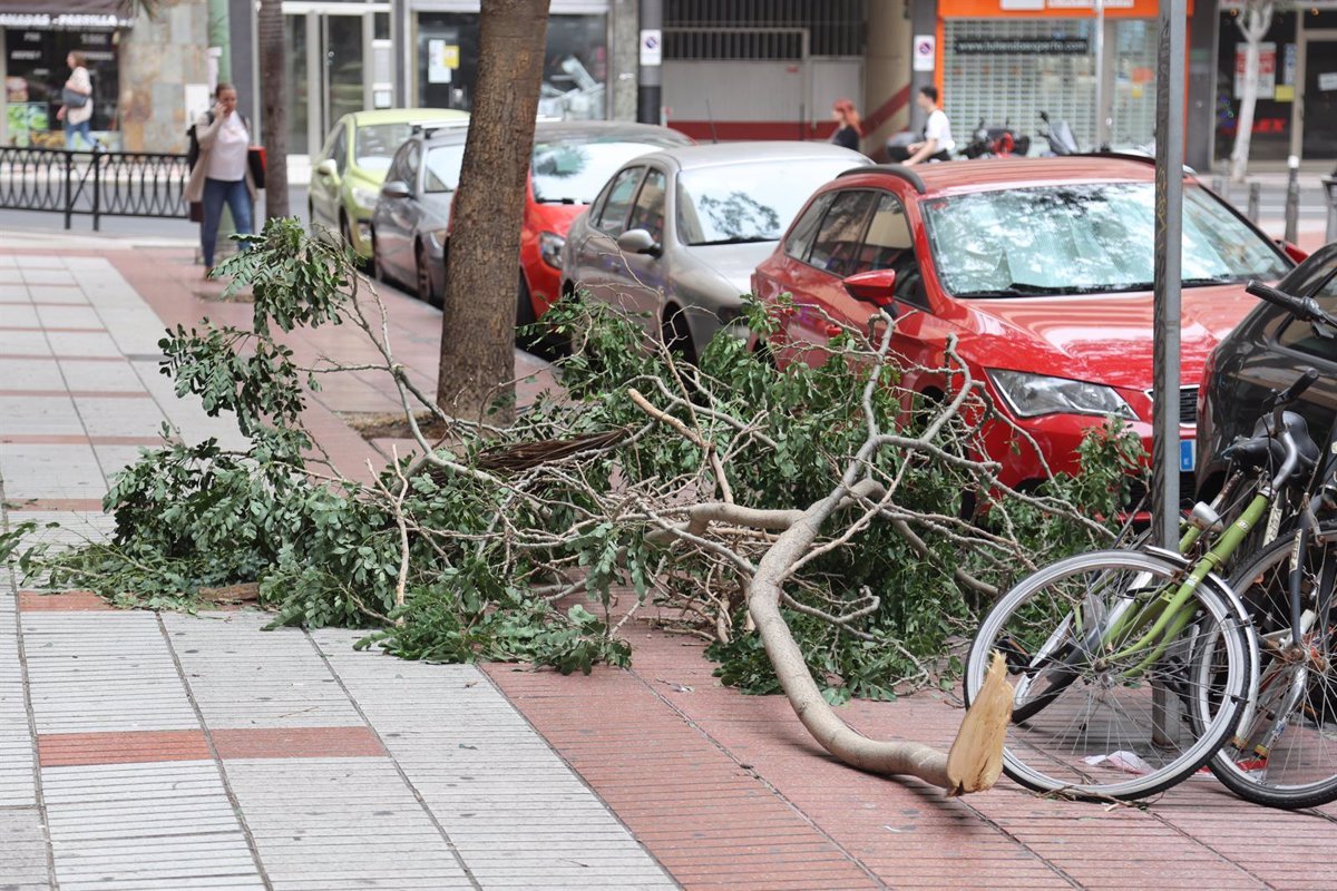 Vientos causan casi 100 incidentes en Canarias occidental sin heridos personales